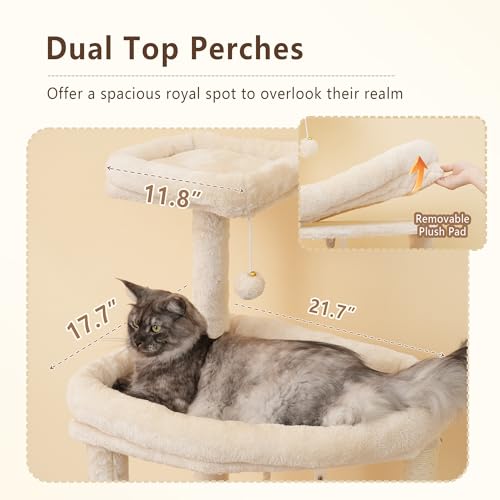 64.2" Heavy Duty Cat Tree for Large Cats with Wide Base HCT027M (64.2 inch / Beige)