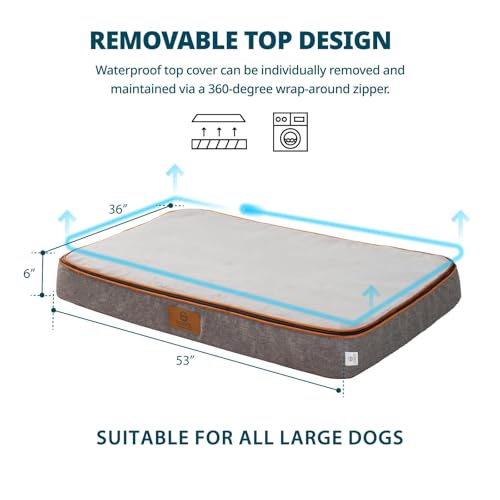 Orthopedic Memory Foam Giant Dog Bed (53.0"L x 36.0"W x 6.0"Th / Light Grey)