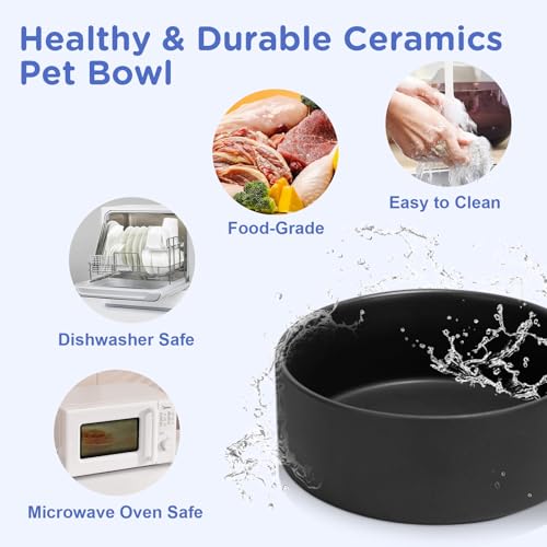 Elevated Dog Bowls Ceramic (7.3 in - 5.3 cups / Black)