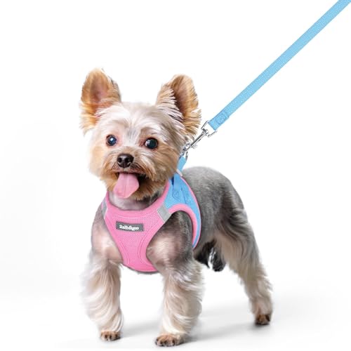 Dog Harness Small Sized and Leash Set (Blue & Light Pink / Xs (chest: 13.3 - 15.5"))