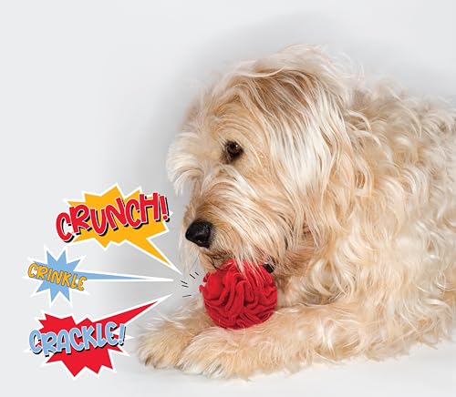 Puppy Small Breed Snuffle Dog Puzzle Ball Toy Red with Crinkle (Red / Small)
