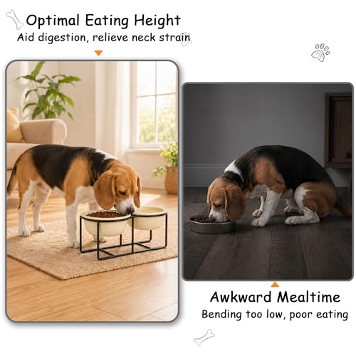 Elevated Ceramic Dog Bowl Set (Beige / L × 2)
