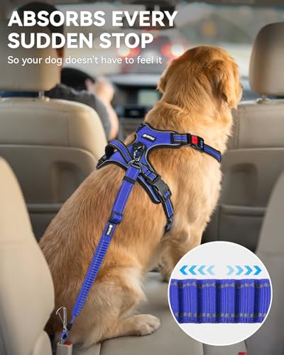 3-in-1 Bungee Dog Seat Belt for Car, Medium Large Dogs, Navy Blue (Navy Blue / (21.6-31.5) inch)