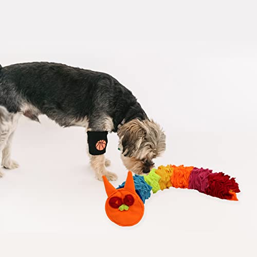 Snuffle Ball Rainbow Snuffle Snake Puzzle Toy for Dogs Puppy Treat Dispensing Toys Foraging Snuffle Mat Interactive Slow Feeder Dog Toys for Any Size (Rainbow Snack / Medium)