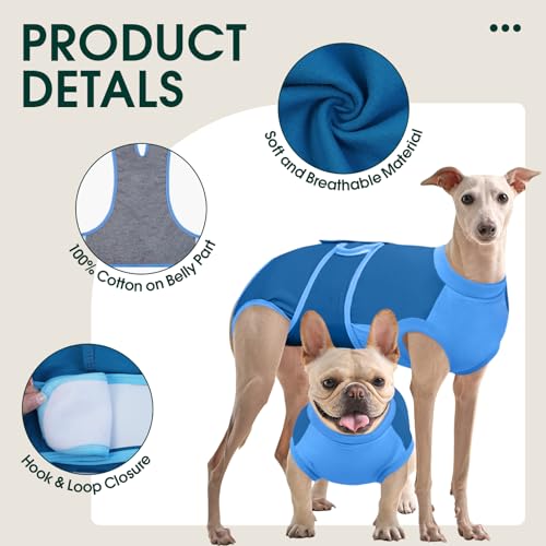Dog Recovery Suit (Blue / X-Large)