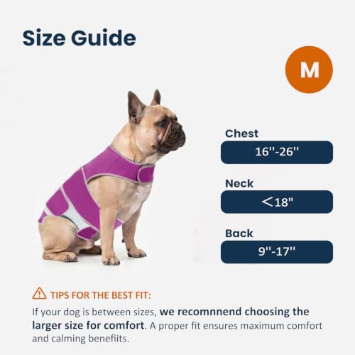 Dog Anxiety Relief Calming Vest (Purple / M)