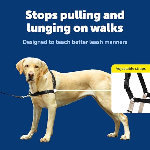 Easy Walk Harness for Dogs (Large / Black)