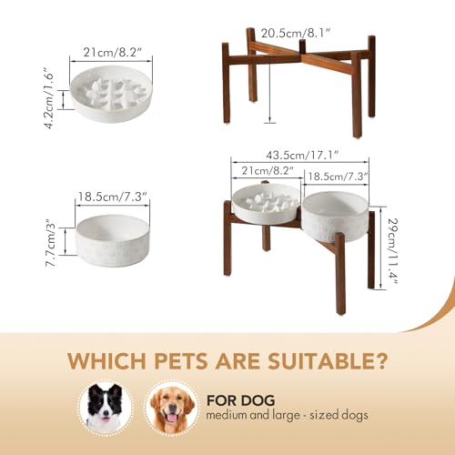 Raised Slow Feeder Dog Bowls (2 x White + Stand - C / L- 8.2inch / 1.6 Cups)