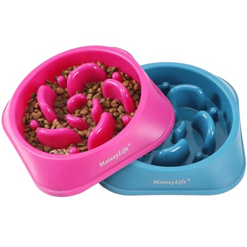2 Pack Slow Feeder Dog Bowls (C-Purple&DarkBlue / Medium)