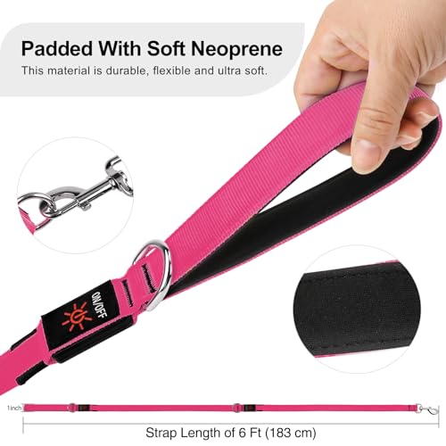 LED Light Up Dog Leash (Pink / 6FT)