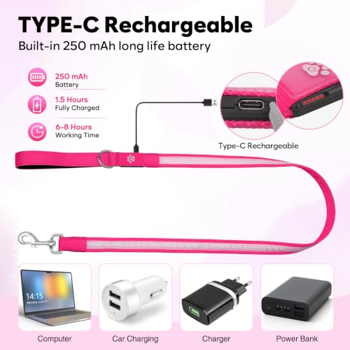 4 Ft Multi Color Light up Dog Leash (4 FT (Pink))