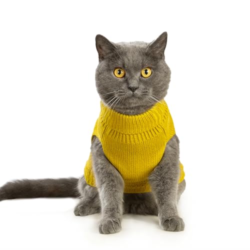 Cat Sweater Stretchy (Dark Yellow / X-Small)