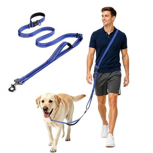Hands Free Dog Leash by Kazazoo (Blue / L)