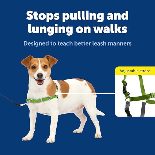 Easy Walk Harness for Dogs (Small / green)
