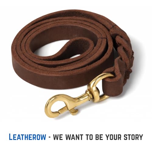 Leather 3 Foot Dog Leash Brown (Brown / 3 FT)
