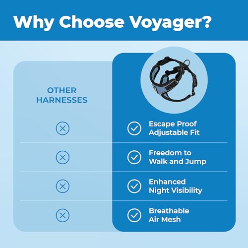 Voyager Escape (Black Trim-Baby Blue (327) / XS (Chest: 13 - 16"))