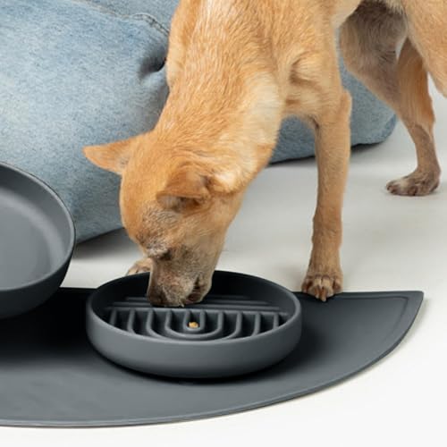 Slow Feeder Dog Bowl (Charcoal - Rainbow Design / Small (6” Across x 1.25” Tall))
