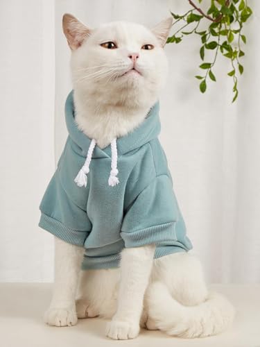 Basic Dog Hoodie Sweatshirt Puppy Sweater Warm Cat Costumes Pet Clothes for Chihuahua Puppy Kitten Small Medium Dogs Pink and Green Small (Small / Pink and Green)