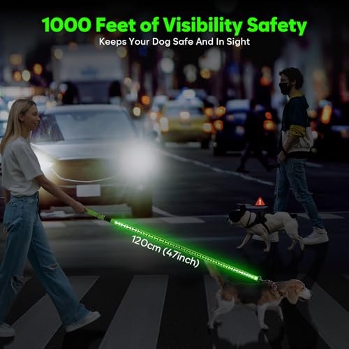 Light Up Dog Leash (Green)