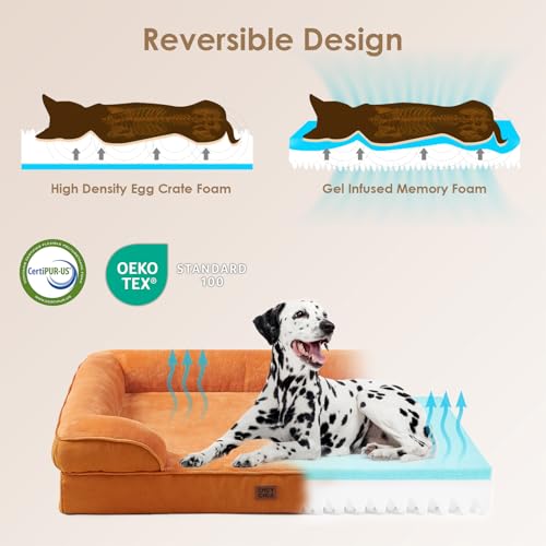 Orthopedic Dog Beds Large Sized Dog (Pumpkin Orange / 35.0"l X 22.0"w X 6.5"th)