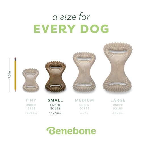 Dental Dog Chew Toy for Aggressive Chewers (REAL Peanut / Small)