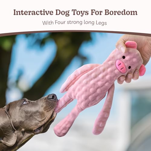 No Stuffing Dog Toys 5 Pack (For Small Breed / 5 Pack - Variety)