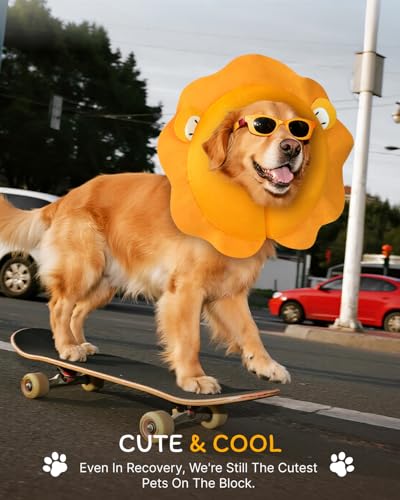 Inflatable Dog Cone (Lion / M+(14"-18"))