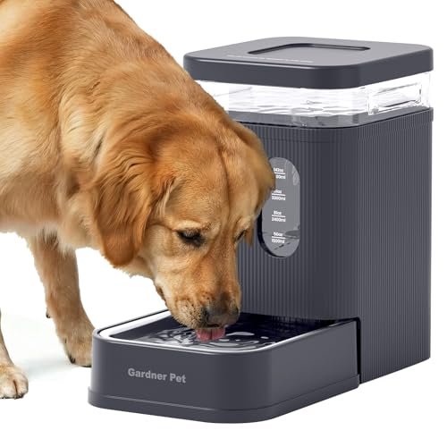 1.7 Gallon Automatic Dog Water Dispenser with Stainless Steel Bowl (Grey / 1.7 Gallon)