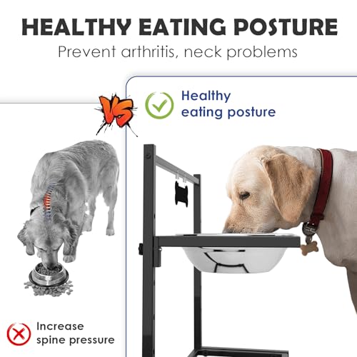 Elevated Dog Bowls for Dogs (2 Dog Bowls / Height: 6-15.5")