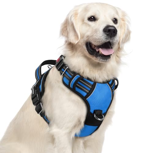 Dog Harness for Large (Blue / X-Large)