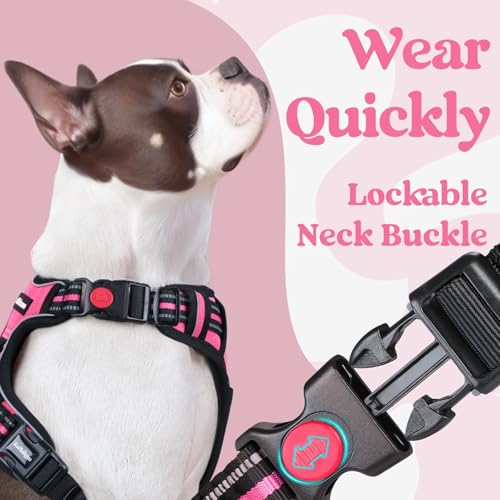 Dog Harness Medium Sized (Medium / Rose Pink)
