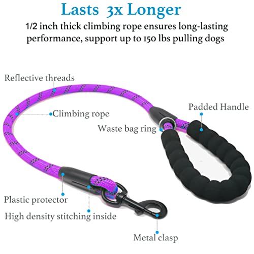 Double Dog Leash (Purple / Large)