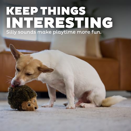 Hedgehogz Plush Dog Toy (Dog Plush Hedgehogz / Small (Pack of 1))