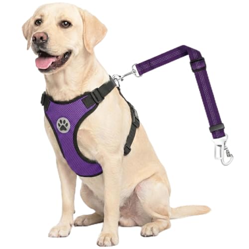 Dog Car Harness Seat Belt (XXX-Small / Purple)