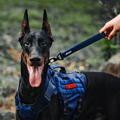 Short Traffic Tab Leash for Small Medium Large Dogs (S / Blue)