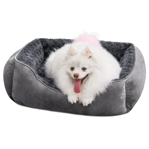Rectangle Dog Bed for Large Medium Small Dogs (Dark Grey / S(20"x 19"x 6"))