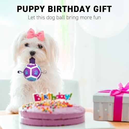 Small Dog Toys (Purple Blue / 3.5 Inch)