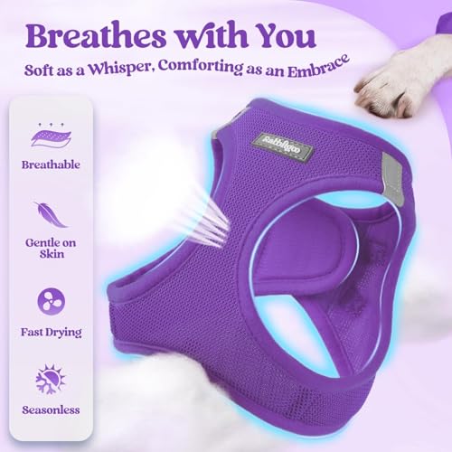 Dog Harness Small Sized and Leash Set (Purple / Xxxs (chest: 10.8 - 11.8"))