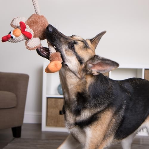 Checkers Skinny Rooster Tough Plush Toy with Chew Guard Technology (Skinny Rooster (Brown) / Large)