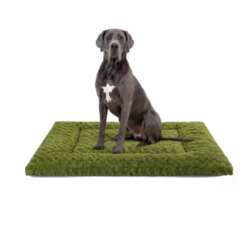 Washable Dog Bed Mat Large Size Fluffy Pet Crate Pad 48x30 XXL (Green / 48.00" x 30.00" x 1.50")