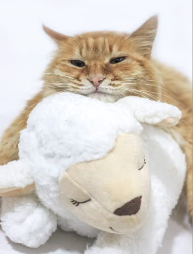 Dog Heartbeat Toy for Anxiety Relief