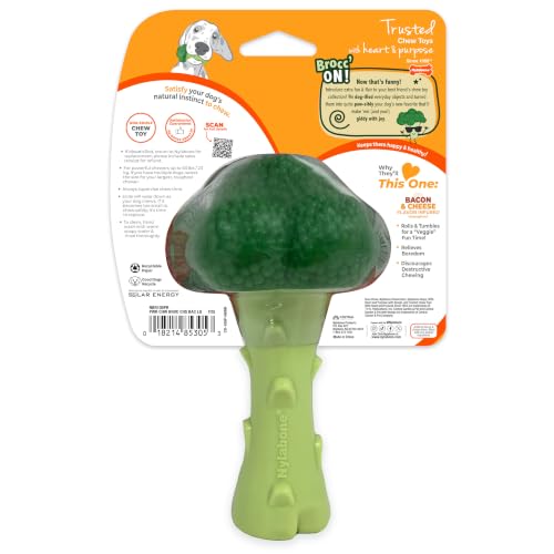 Power Chew Broccoli Dog Chew Toy (Broccoli 1 Pack / Large)