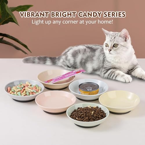 Ceramic Cat Food Bowl Set (Solid - Separate Pads)