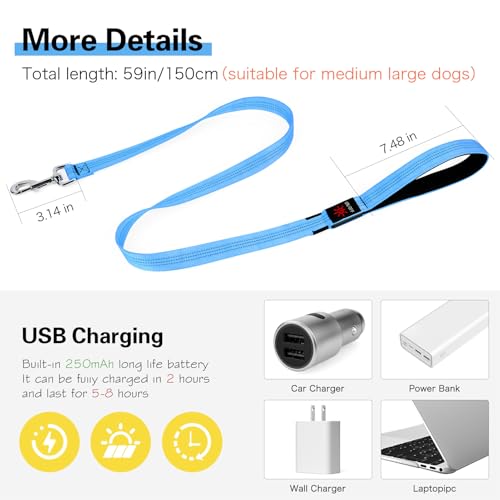 Light Up Dog Leash (Blue)