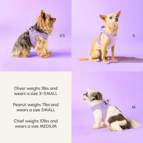 Step in Dog Harness for Large Dogs (Large / Lilac)