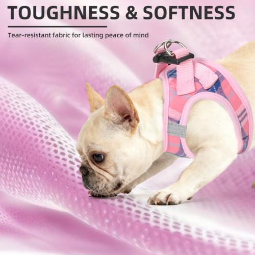 Dog Harness Collar and Leash Set No Pull for Small Medium Sized (Pink / M (CHEST 16"-18"))
