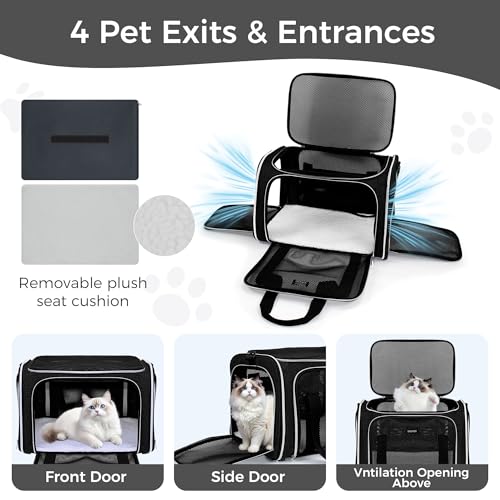 Pet Travel Carrier (Black / 17.0"L x 11.0"W x 12.0"H)