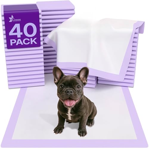 Pee Pads Super Absorbent & Leak (Purple / 40 Pack - 22x22)