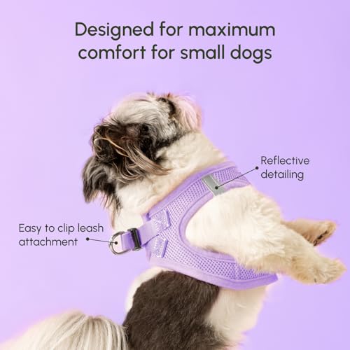 Step in Dog Harness for Large Dogs (Large / Lilac)