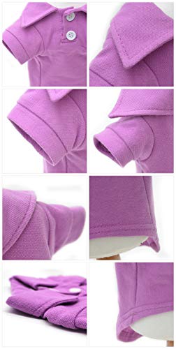 Basic Dog Polo Shirts Premium Cotton (M (-12lbs) / Violet)